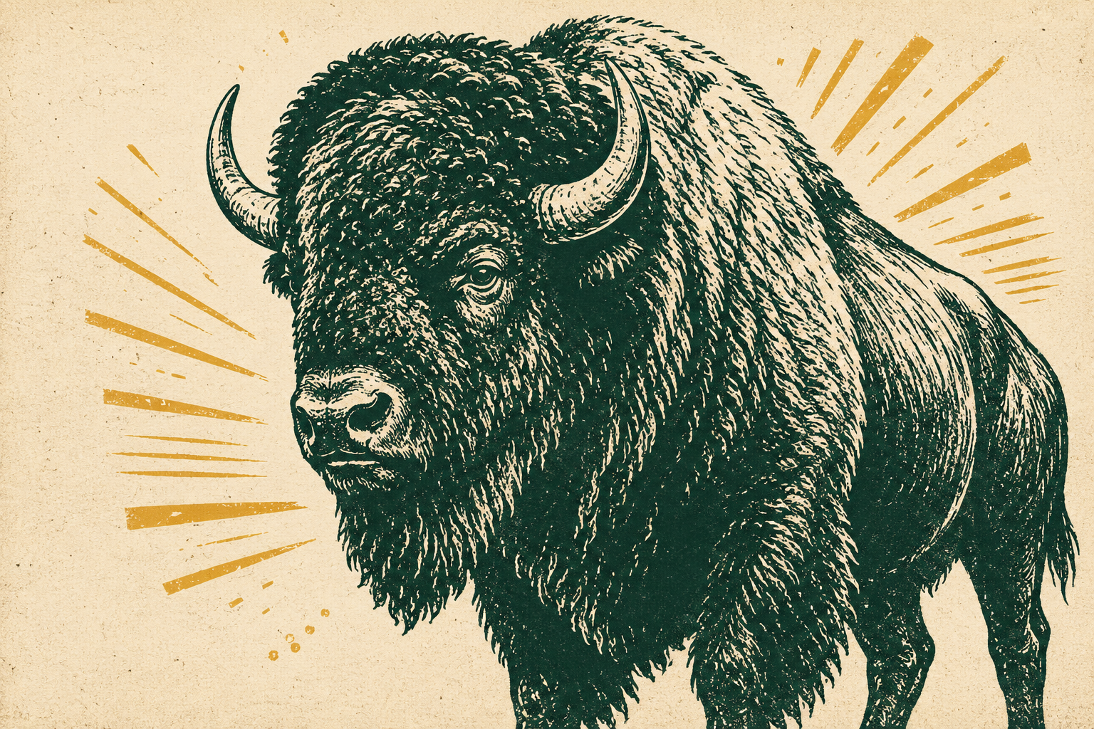 Vintage illustrated American buffalo